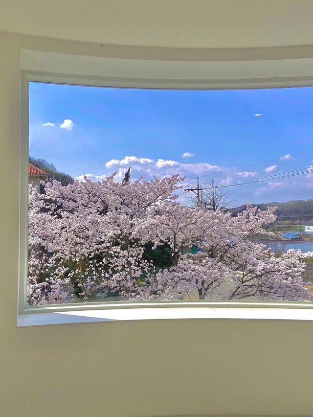 공주 벚꽃뷰 카페, [내재]