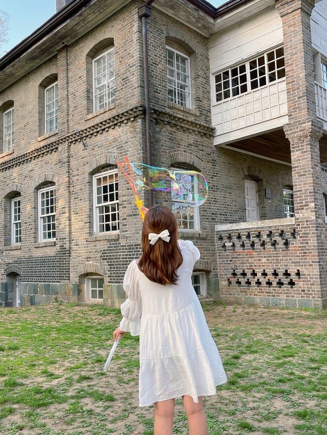🤍 광주 유럽풍 피크닉 명소 🤍