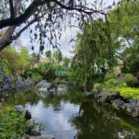 香港好去處 ～ 荔枝角公園 