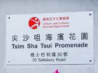 聽海笑的聲音