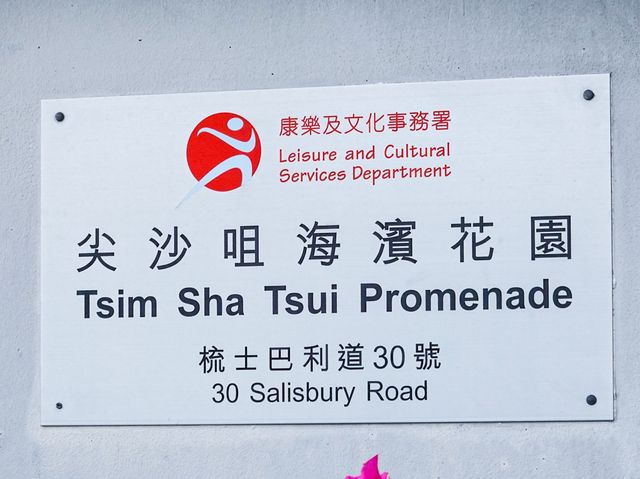聽海笑的聲音