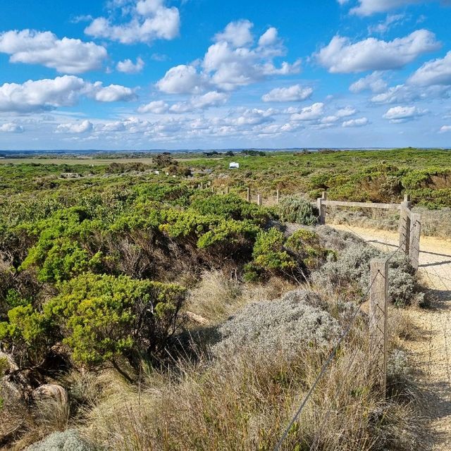 Great Ocean Road Scenic Spots