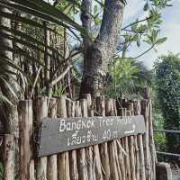 บางกอก ทรี เฮาส์ (Bangkok Tree House)