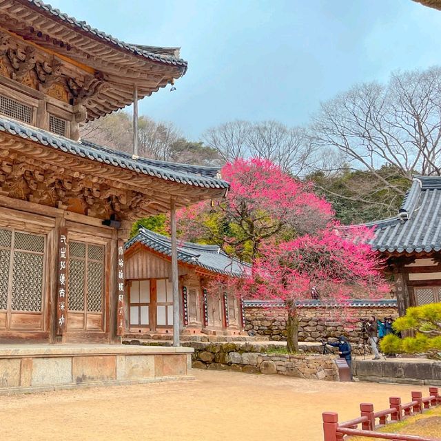 한국사 조계종 필수 문화재, 구례 화엄사