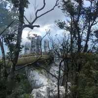 Amazing Golden Bridge 