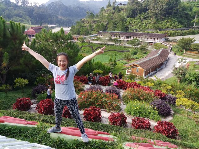 Betong Winter Flower Garden