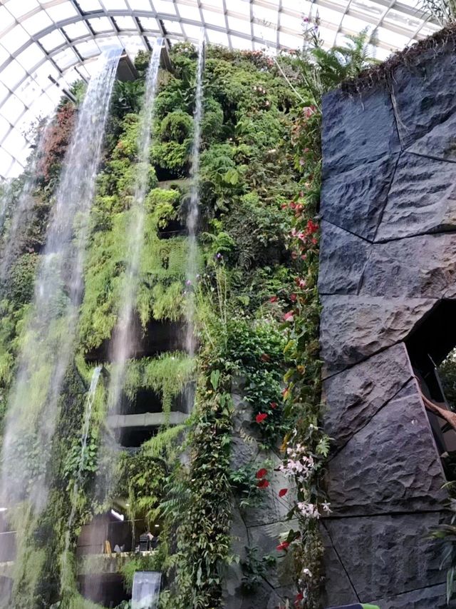สวนสวยติดแอร์ที่สวยที่สุดในโลก🍃🌿