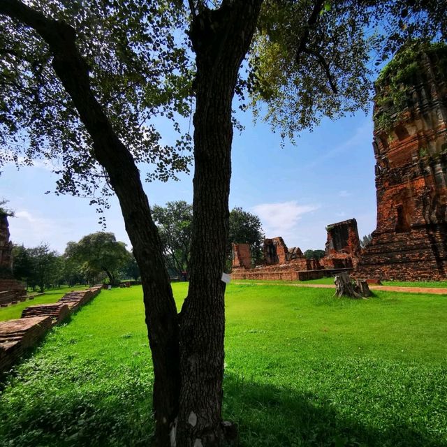 วัดมหาธาตุ อุทยานประวัติศาสตร์พระนครศรีอยุธยา