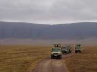 Hiking up Kilimanjaro & Safari