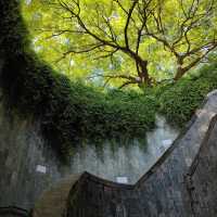 Fort Canning Park