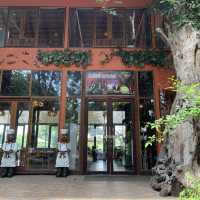 Amazing Woodland near Bangkok 🪵