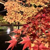 【京都】縁側からの庭園が素晴らしい