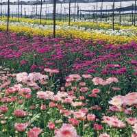 เที่ยวสวนดอกไม้​🌷🌻 
