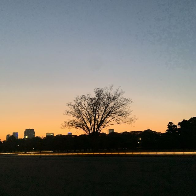 皇居外苑&東御苑