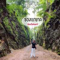 ศึกษาประวัติศาสตร์ สมัยสงครามโลกครั้งที่2
