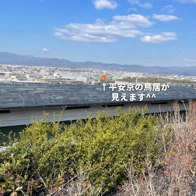 【ウェスティン都ホテル京都】屋上庭園へ🌿