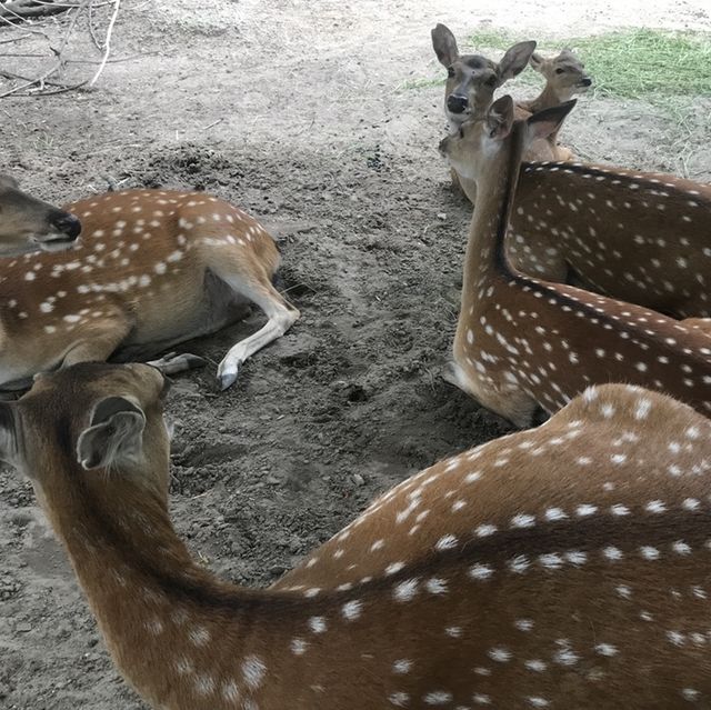 德國最大的動物園之一