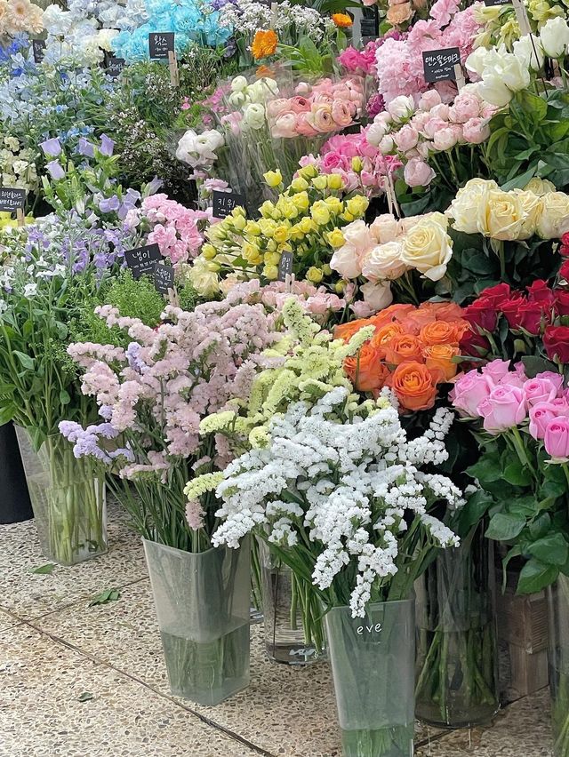 벚꽃 엔딩이 아쉽다면, 이곳도 충분해💗
