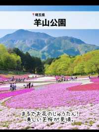 絶景！GWが見頃のお花畑スポット7選