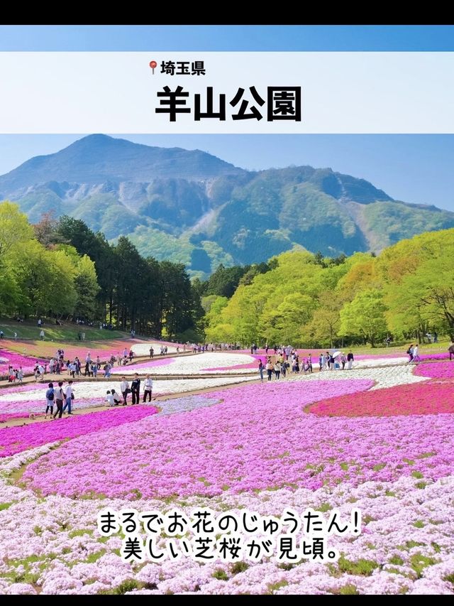 絶景！GWが見頃のお花畑スポット7選