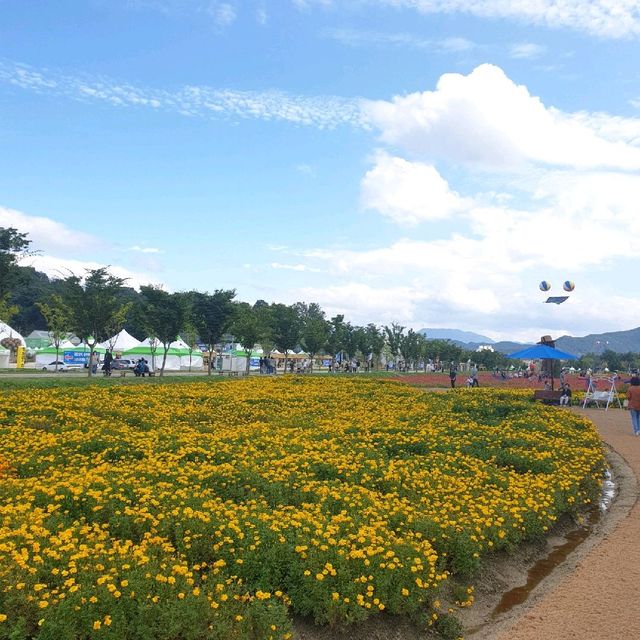 경남 함양 산삼축제에서 여러꽃과 연꽃구경