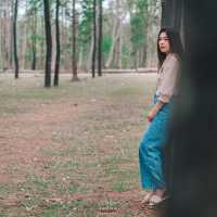 จุดแวะพักถ่ายรูประหว่างทางสุดปัง