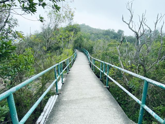 南丫島家樂徑
