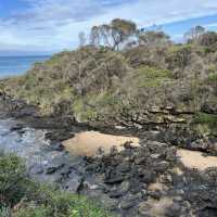 Epic Great Ocean Road trip