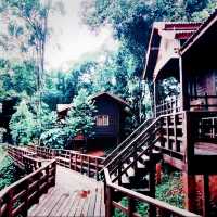 Tad Fane resort 
