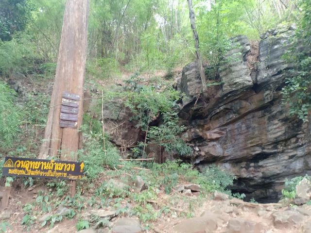 ถ้ำพุหวาย  ⛰🫶🏻💗🌳