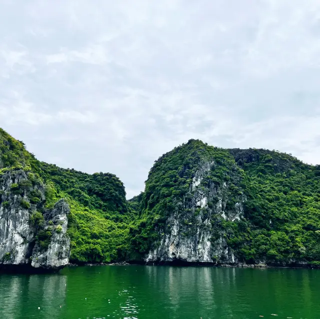 VIỆT NAM TRONG TÔI❣️