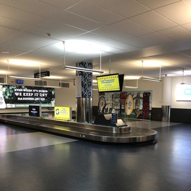 ARRIVAL INTO DUNEDIN AIRPORT