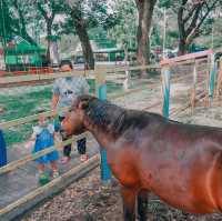 สวนสัตว์ค่ายสุรสีห์​ เข้าฟรี อาหารสัตว์ฟรี 