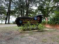 หาดในยาง จ.ภูเก็ต