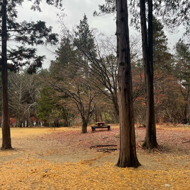 NAMI ISLAND BOOK CAFE 📍
