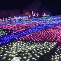 千葉県！東京ドイツ村のイルミネーション①