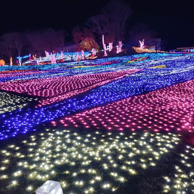 千葉県！東京ドイツ村のイルミネーション①