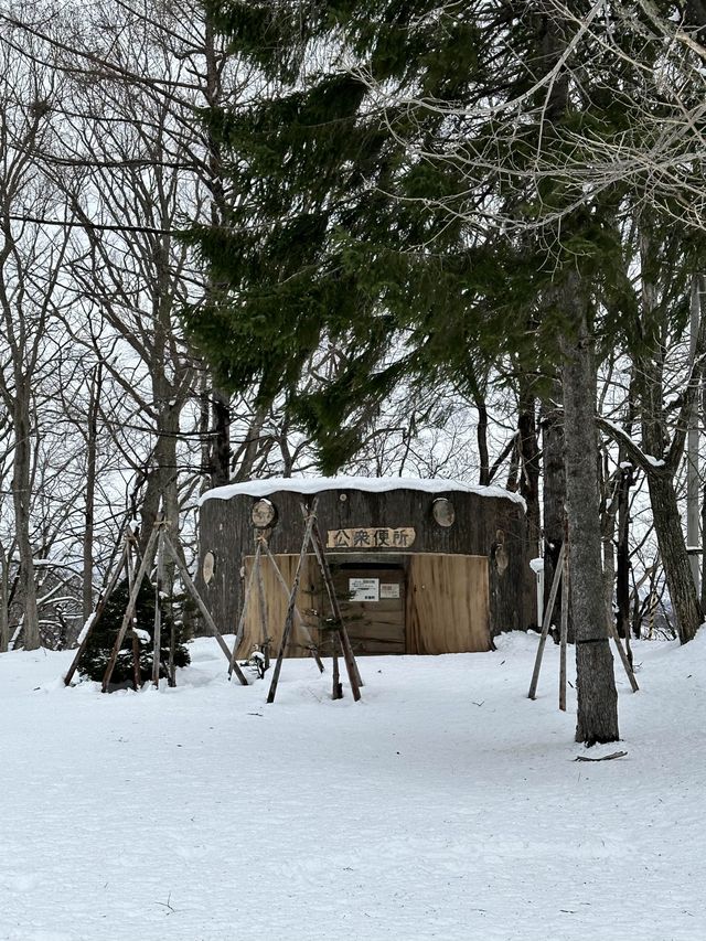눈오는 날 더 매력적인 후키다시 공원 🏞️