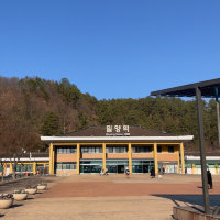 황금빛 기차역, 밀양역🚅