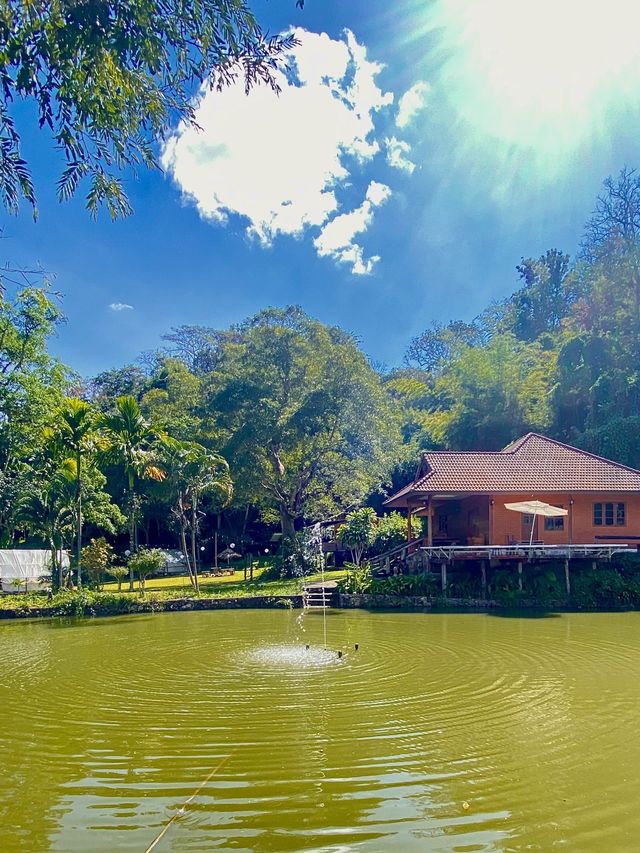 ที่พักสวย สวนองุ่นนิศาชล | เชียงดาว | เชียงใหม่