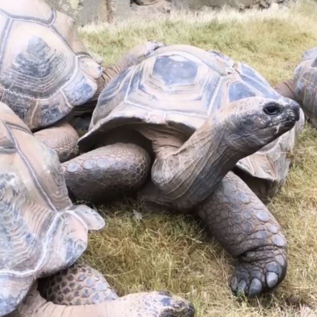 Learn & Play at the Greensboro Science Center