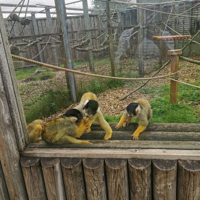 Beautiful moments at Peak Wildlife Park 
