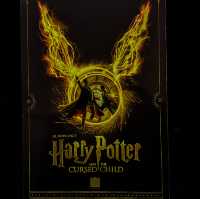 Harry Potter and the Cursed Child 