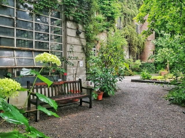 Exploring the Botanical Gardens of Brera in Milan 🌿