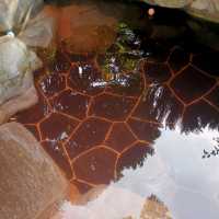 Authentic natural hot spring experience