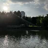 A Very Lively Park in Hongqiao Area