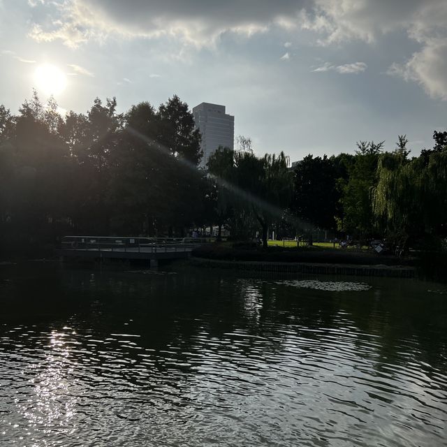 A Very Lively Park in Hongqiao Area