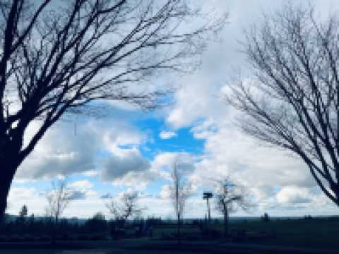 Seattle, USA has the most beautiful clouds in the world.