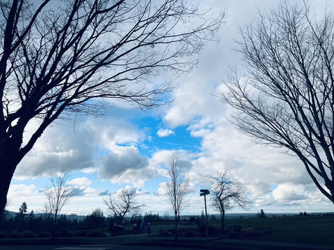 Seattle, USA has the most beautiful clouds in the world.