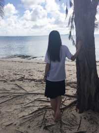 Miss the touch of blue on Saipan Island's ocean waves 🌊 and the seven-colored sea of Battleship Island.